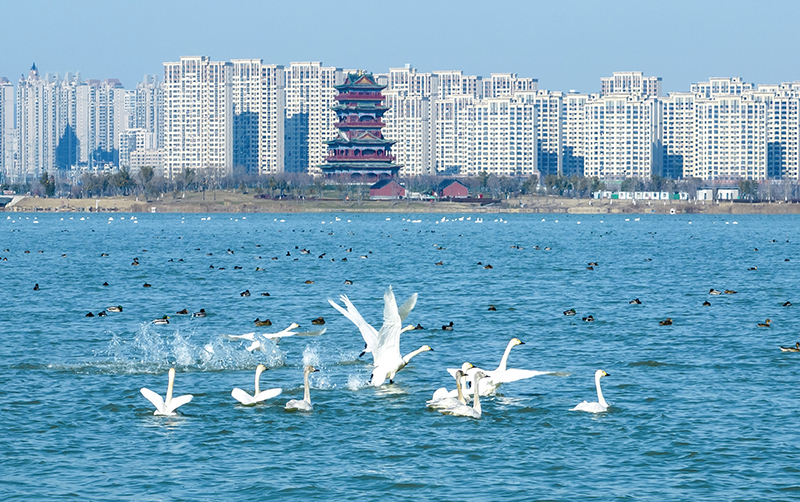 滁州市委宣傳部供圖 (2)