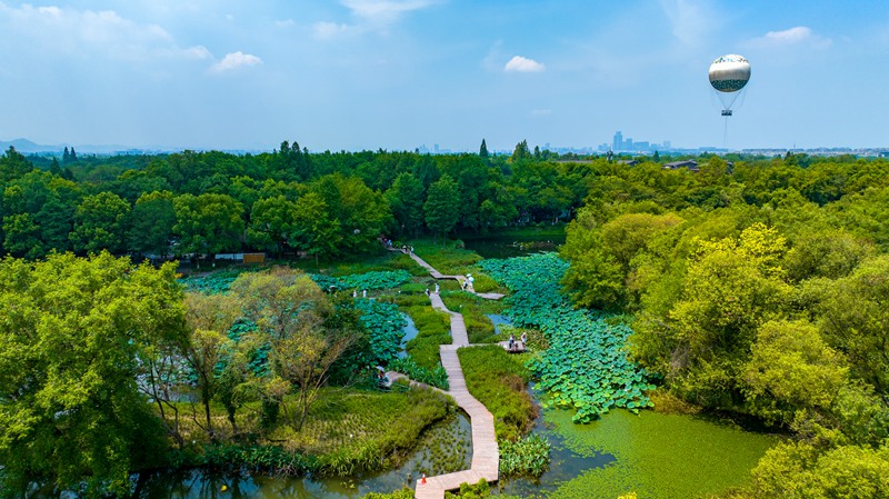 杭州西溪國家濕地公園。馬禎俊攝