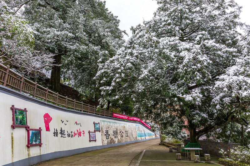 香榧公園。大溪邊鄉供圖