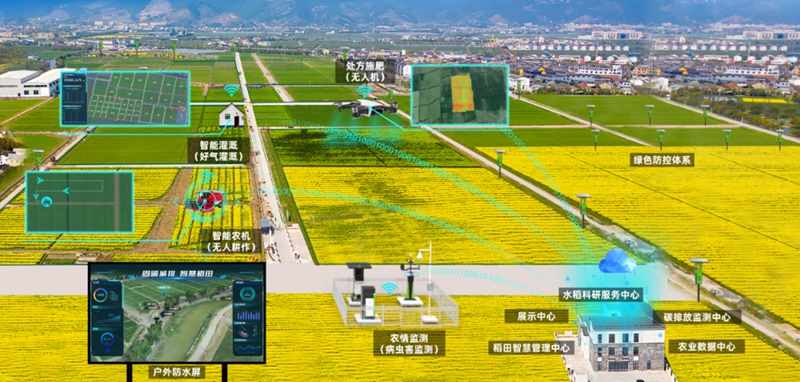 通過數字賦能，實現未來農場的無人化精準作業、科學化智慧決策。受訪者供圖