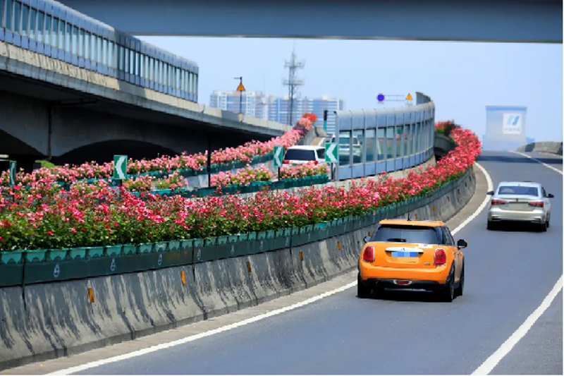 杭州高架“花路”。杭州市園文局供圖