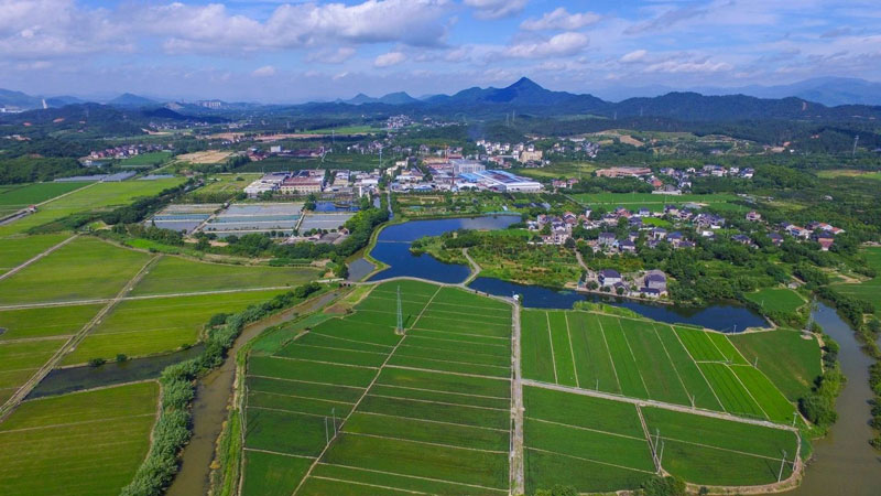 余杭區交通運輸局供圖